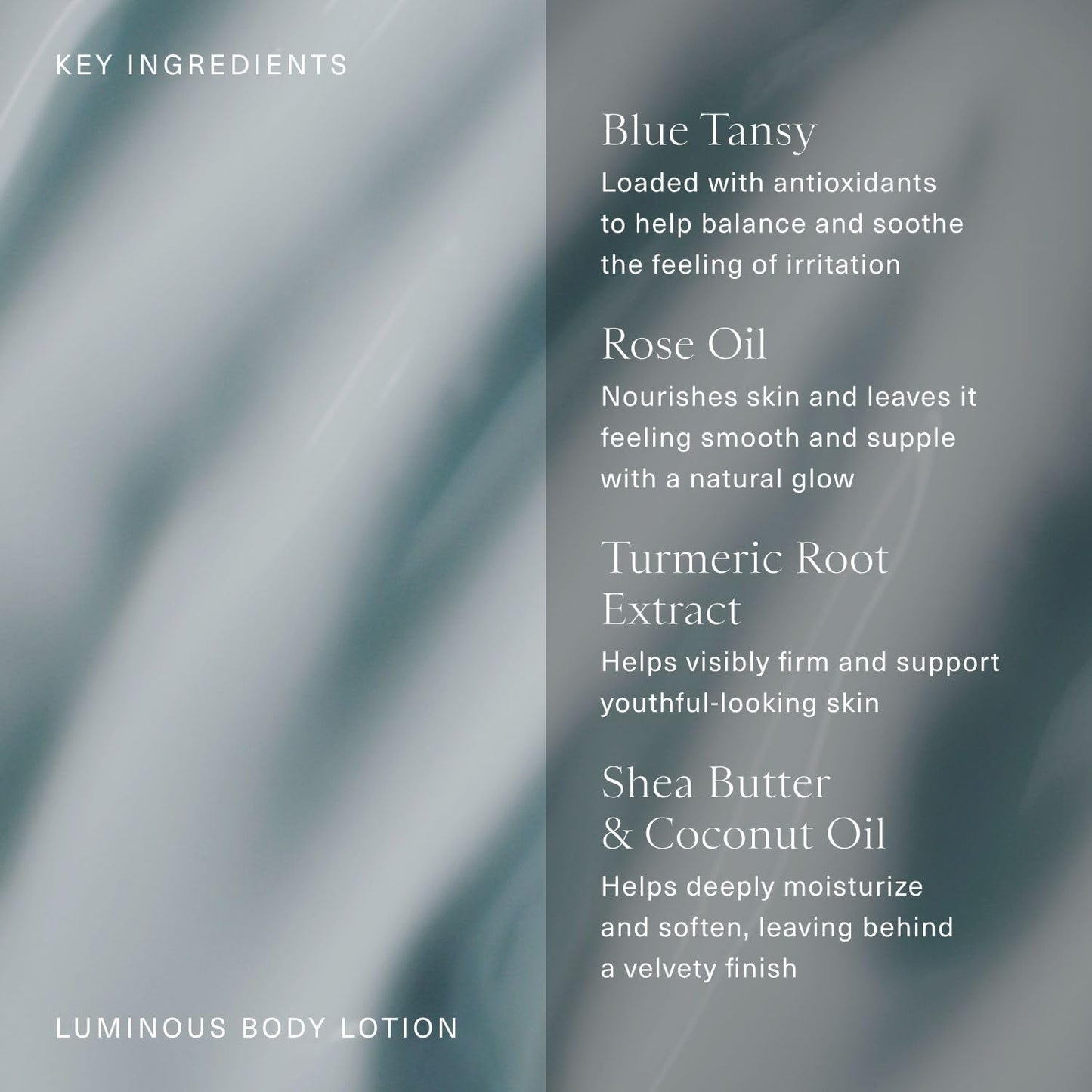 Oak Essentials Luminous Body Lotion | Hydrating Blue Tansy Body Lotion with Rose Oil, Turmeric, Shea Butter and Coconut Oil, 10.1 Fl Oz